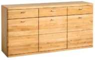 Boston Typ 49